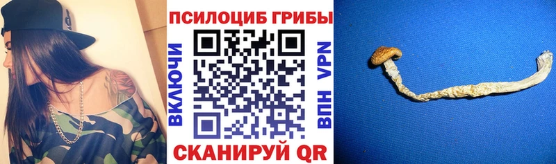 Псилоцибиновые грибы ЛСД Невельск